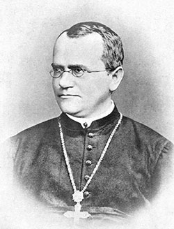Gregor Mendel was an Austrian monk from the 1800s who  discovered how organisms pass traits from one generation to the next.