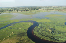 The Okavango Delta in Botswana. Click for more detail.