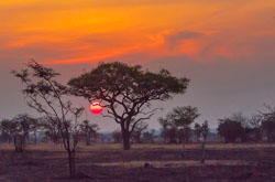 Sunset over the modern Serengeti in Tanzania. Image by Anita Ritenour.