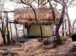 This tent, with a &quot;roof&quot; of branches and grasses, was home to ASU graduate student Samantha Russak for one year while she studied the habitats of chimpanzees in Tanzania. Image by Samantha Russak.