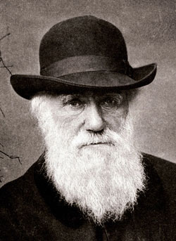 Retrato de Charles Darwin del año 1880, cuando tenía 71 años. Image by Elliott &amp; Fry, Public Domain.