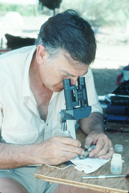 Dr. Donald Johanson examining a fossil in the lab tent in the field in Hadar. Image by Nancy Khan.