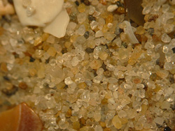 This sand is from the Netherlands. The grains are 0.2-0.5 mm in size. Image by Renée Janssen.