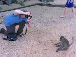 Some primates aren’t camera shy.