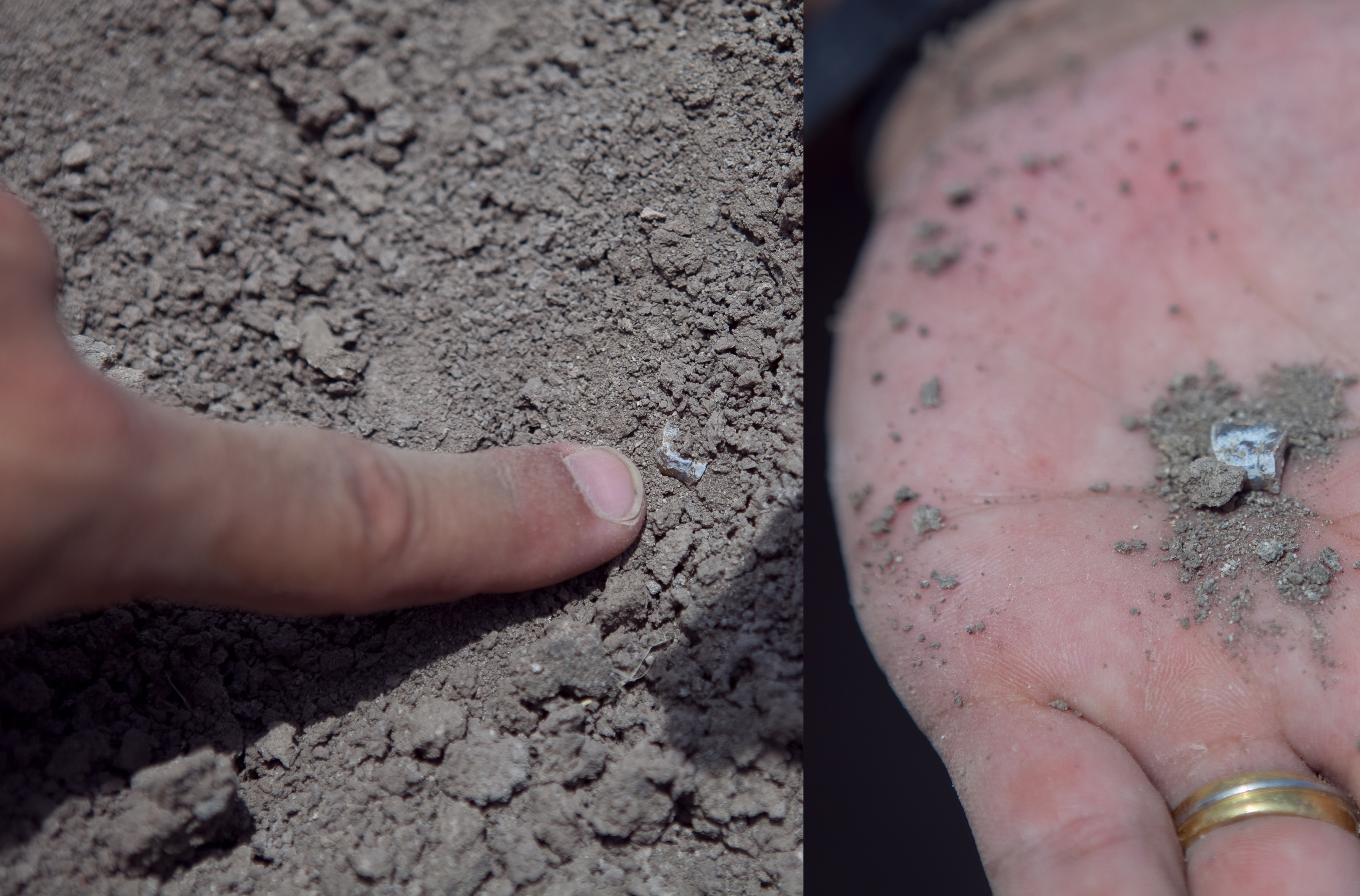 Fossil tooth