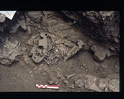 A Neanderthal skeleton in situ in Amud, Israel. Image by William Kimbel.