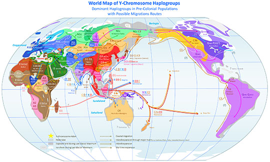 Depiction of the peopling of the world. Migratory paths are based on only the Y chromosome, not the whole genome. It shows that humans originated in Africa, then colonized Europe and Asia, and lastly moved into the Americas, Australia, and the Pacific Islands.