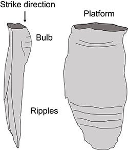 The features of a flake. Click for more detail.