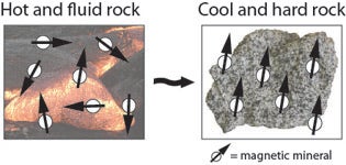 Minerals can move around when rocks are hot and fluid. When the rock cools and hardens the minerals become locked into place. The magnetic minerals (the one that would be picked up if you put a magnet near them) will align to the current direction of the Magnetic North Pole. 