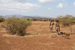 Hunting can take up a lot of time for groups like the Hadza. 