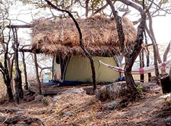 This tent, with a "roof" of branches and grasses, was home to ASU graduate student Samantha Russak for one year while she studied the habitats of chimpanzees in Tanzania. Image by Samantha Russak.