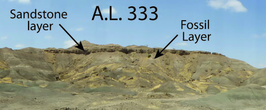 Afar Locality (A.L.) 333 at Hadar Ethiopia. The site of the ‘First Family’ known from the 13-17 individual specimens of the extinct hominin species Australopithecus afarensis. The site is estimated to be about 3.2 million years old. Fossils were found coming from sediments below the thick sandstone layer near the top of the hill.