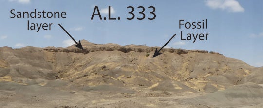 Afar Locality (A.L.) 333 at Hadar Ethiopia. The site of the ‘First Family’ known from the 13-17 individual specimens of the extinct hominin species Australopithecus afarensis. The site is estimated to be about 3.2 million years old. Fossils were found coming from sediments below the thick sandstone layer near the top of the hill.