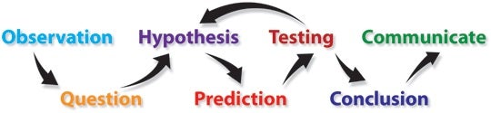 Steps of the scientific method.