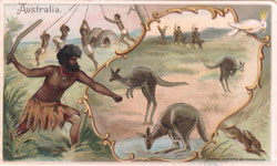 Native Australians hunted with boomerangs for a wide variety of animals, including many species of kangaroos.