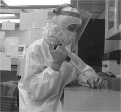 ASU graduate student María Nieves-Colón working with a DNA sample in the lab. Image courtesy ASU Institute of Human Origins.