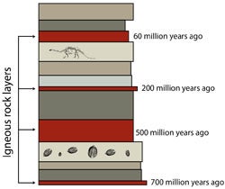 Dating the volcanic glass in surrounding rock layers can help you determine the age of fossils in between those layers. Image by Jilcurie.