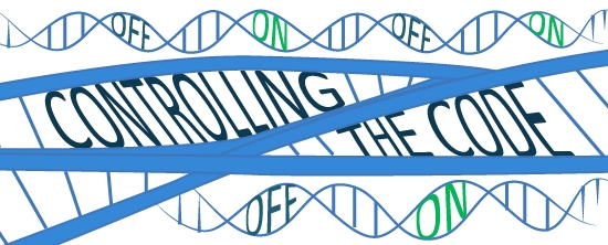 epigenetics illustration