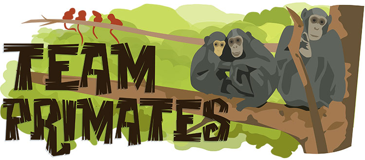 Team Primates Header Illustration