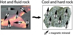 Minerals can move around when rocks are hot and fluid. When the rock cools and hardens the minerals become locked into place. The magnetic minerals (the one that would be picked up if you put a magnet near them) will align to the current direction of the Magnetic North Pole. 