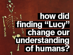 Lucy fossil overlaid with title of video