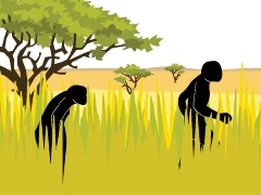 How climate shaped human evolution image