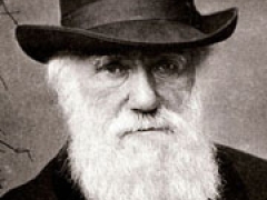 Photo of Darwin