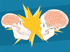 Compare the size if primate brains in this activity!