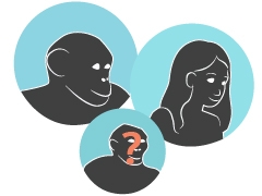Link to Primate family tree