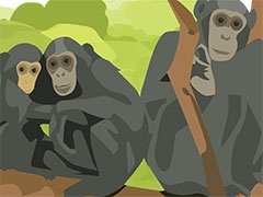 Team Primates thumbnail Illustration