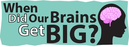 LInk to When Did Our Brains Get Big? 