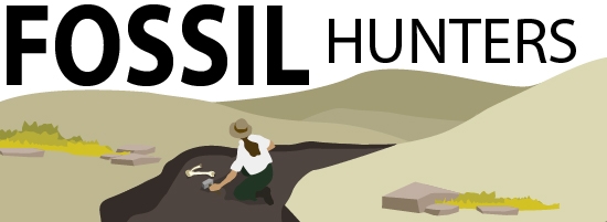 Fossil hunter illustration