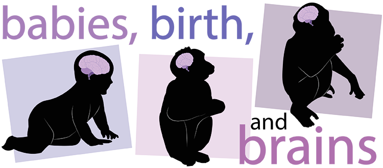 human, macaque, and chimp silouhettes