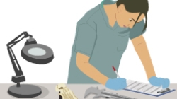 Anthropology lab work image