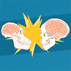 Compare the size if primate brains in this activity!
