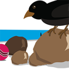 A crow perched on a rock looks over a pile of small tools