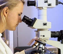 Scientist using microscope