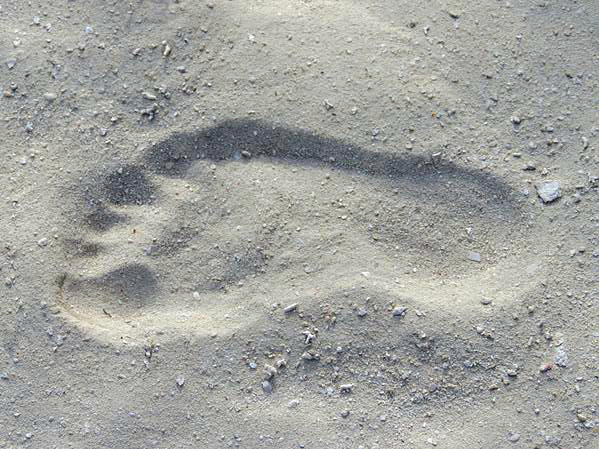 Footprint in sand