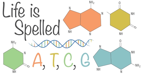 LInk to All About DNA