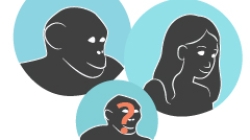 Link to Primate family tree